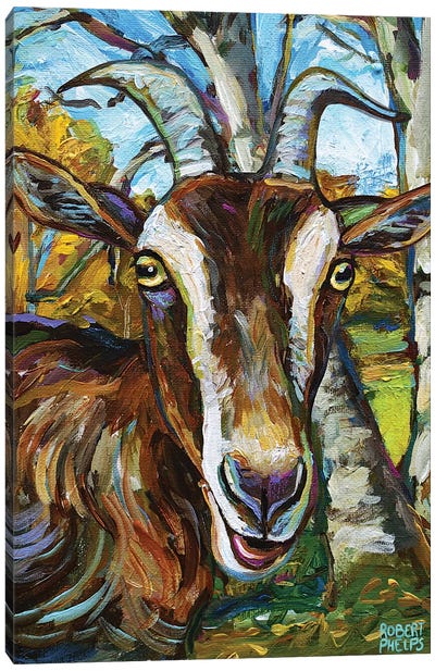 Toggenburg Goat And Trees Canvas Art Print - Robert Phelps