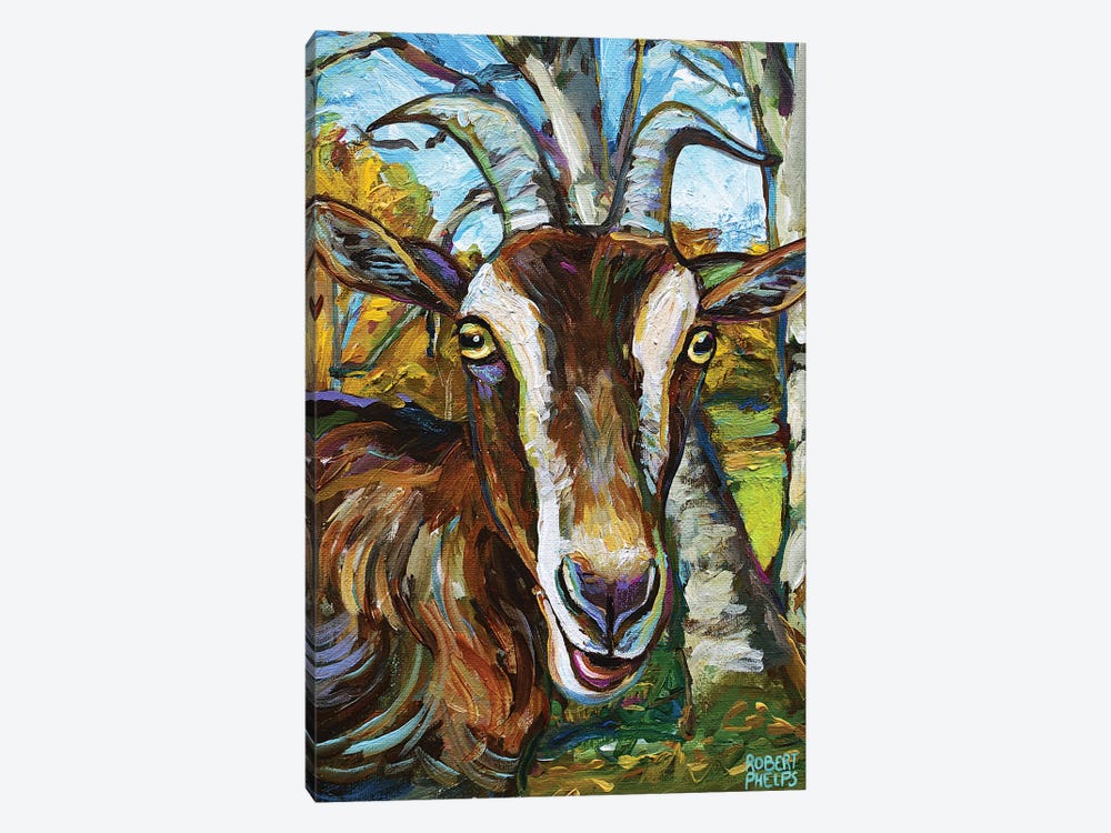Toggenburg Goat And Trees by Robert Phelps 1-piece Canvas Wall Art