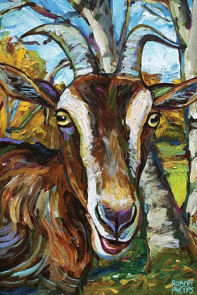 Goats: Toggenburg Goat And Trees by Robert Phelps
