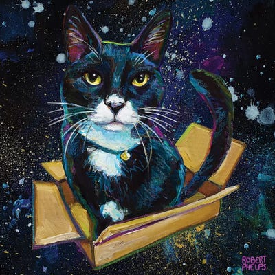 Tuxedo Cat In Space by Robert Phelps metal wall art