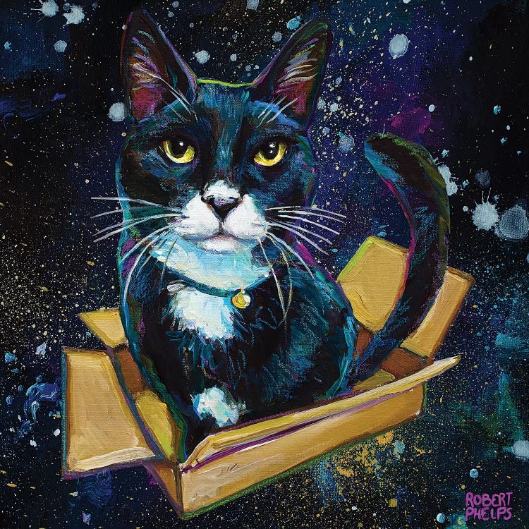 Tuxedo Cat In Space by Robert Phelps wall art