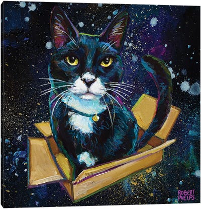 Tuxedo Cat In Space Canvas Art Print - Tuxedo Cat Art