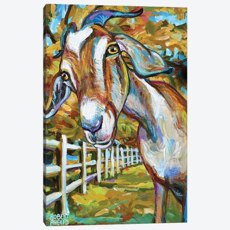 Wilbur The Goat And Fence Canvas Print #RPH185} by Robert Phelps Canvas Artwork