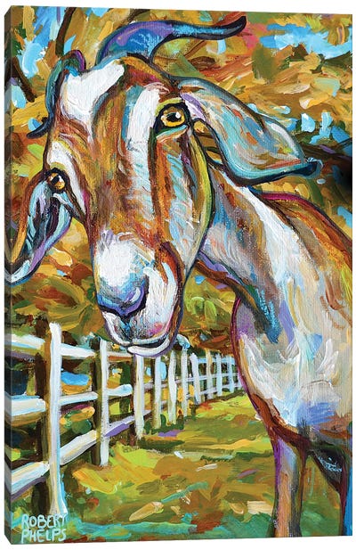Wilbur The Goat And Fence Canvas Art Print - Goat Art