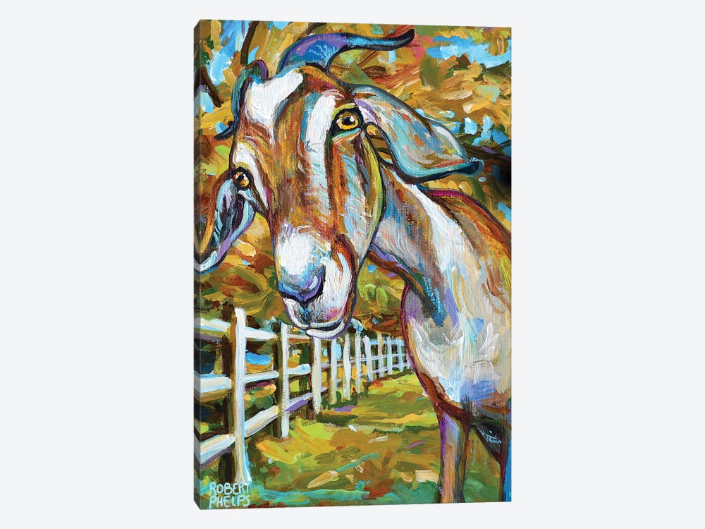 Wilbur The Goat And Fence by Robert Phelps 1-piece Canvas Art