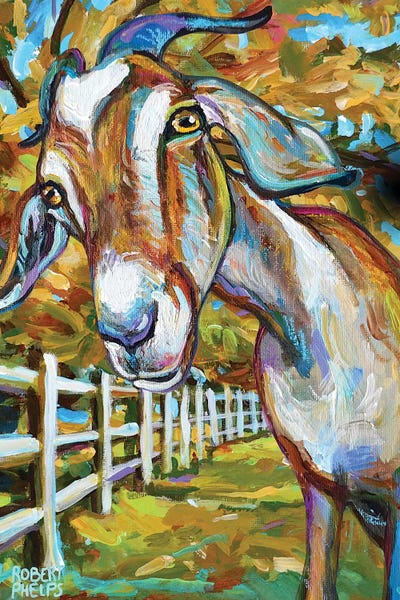 Robert Phelps: Wilbur The Goat And Fence by Robert Phelps