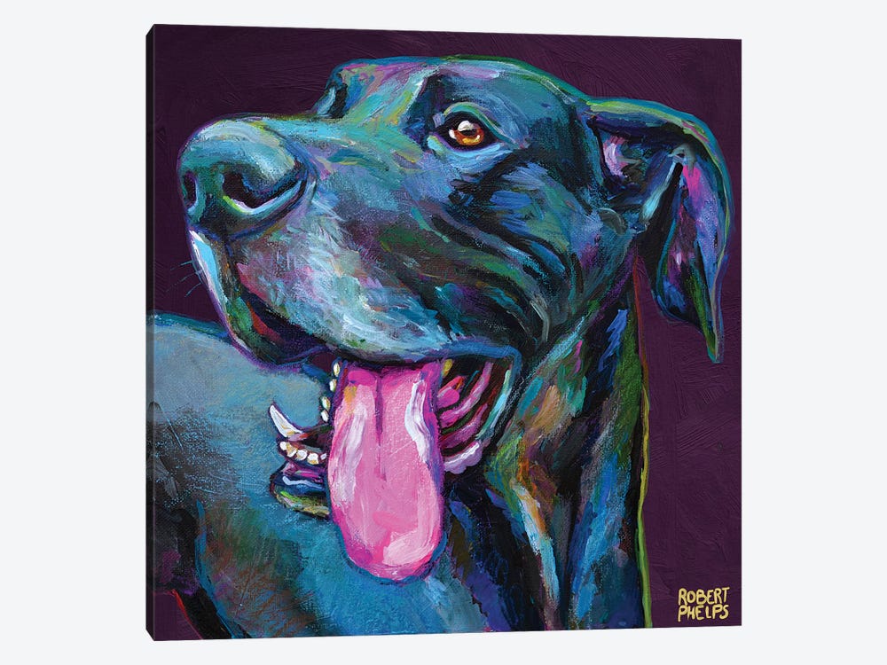 Great Dane On Violet by Robert Phelps 1-piece Canvas Print