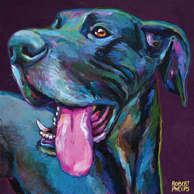 Great Dane On Violet by Robert Phelps wall art