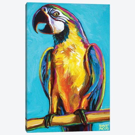 Parrot On Blue Canvas Print #RPH188} by Robert Phelps Canvas Art Print