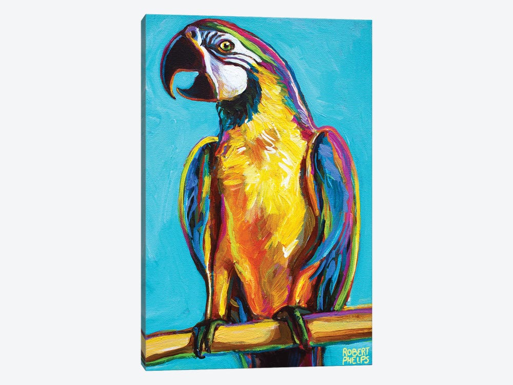 Parrot On Blue by Robert Phelps 1-piece Canvas Art Print