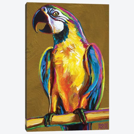 Parrot On Gold Canvas Print #RPH189} by Robert Phelps Canvas Print