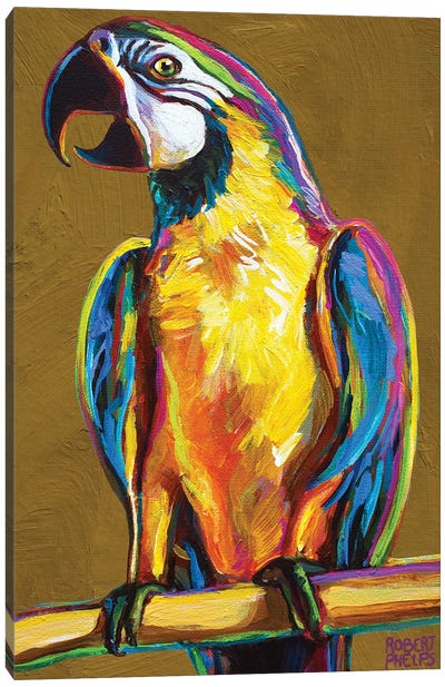 Parrot On Gold Canvas Art Print - Robert Phelps