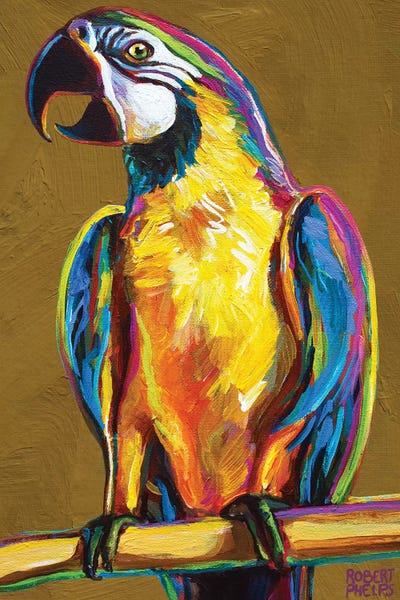 Parrots: Parrot On Gold by Robert Phelps