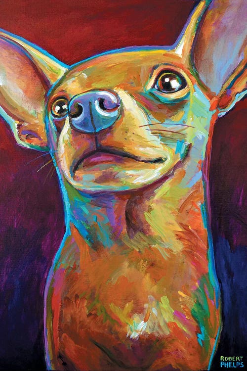 Chihuahua by Robert Phelps wall art