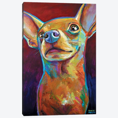 Chihuahua Canvas Print #RPH18} by Robert Phelps Canvas Print