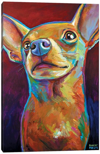 Chihuahua Canvas Art Print - Chihuahua Art