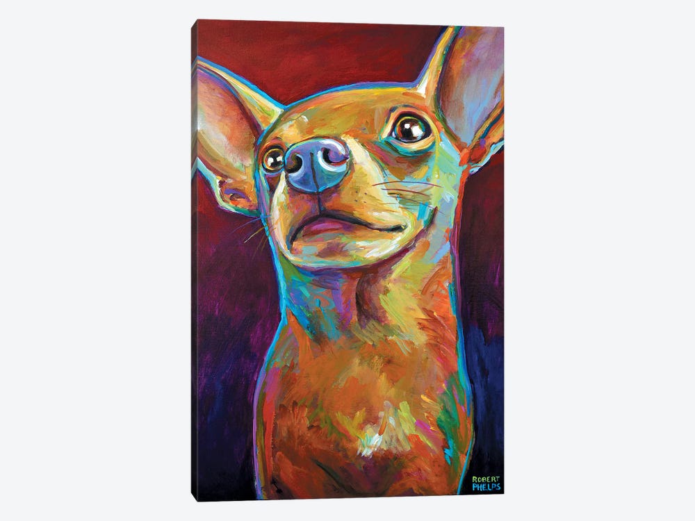 Chihuahua by Robert Phelps 1-piece Canvas Art Print