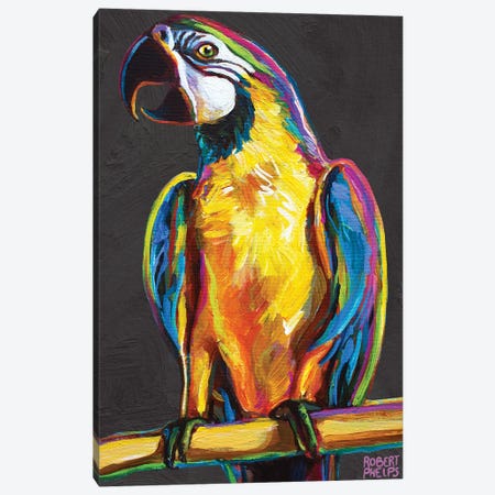 Parrot On Gray Canvas Print #RPH190} by Robert Phelps Canvas Artwork