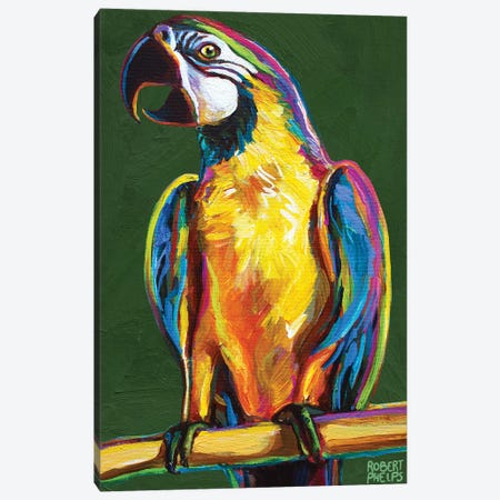 Parrot On Green Canvas Print #RPH191} by Robert Phelps Canvas Art