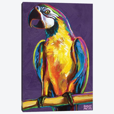 Parrot On Violet Canvas Print #RPH192} by Robert Phelps Canvas Artwork