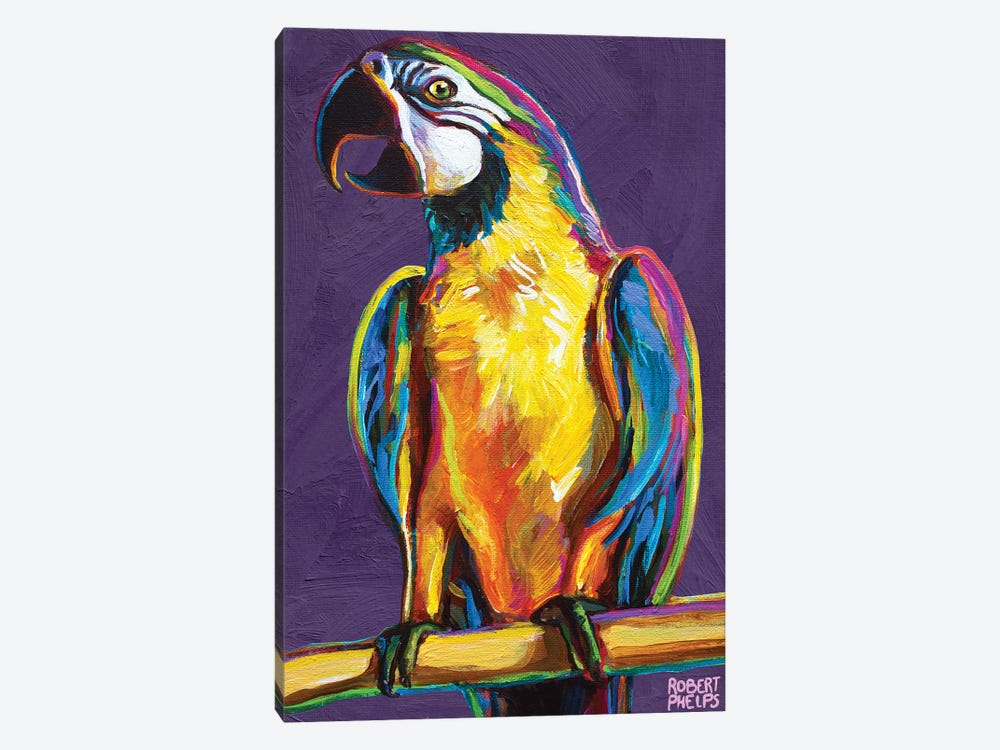 Parrot On Violet by Robert Phelps 1-piece Canvas Artwork
