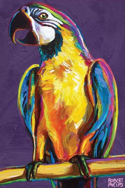Parrots: Parrot On Violet by Robert Phelps
