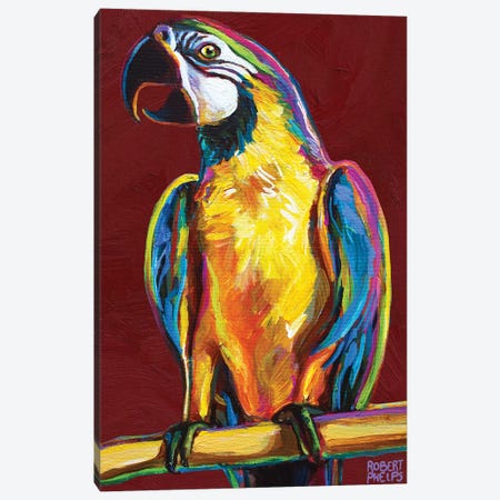 Parrot On Red Canvas Print #RPH193} by Robert Phelps Canvas Artwork