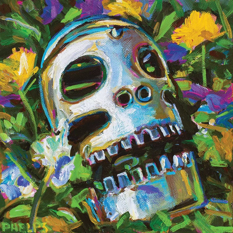 Flower Skull by Robert Phelps wall art