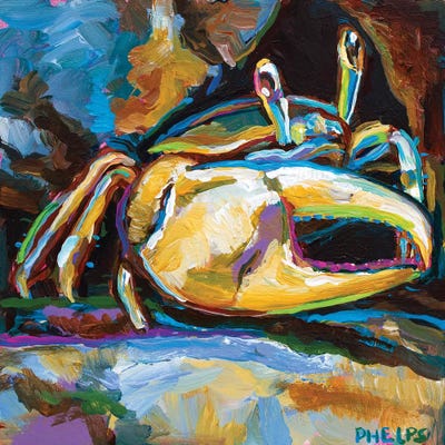 Fiddler Crab by Robert Phelps metal wall art