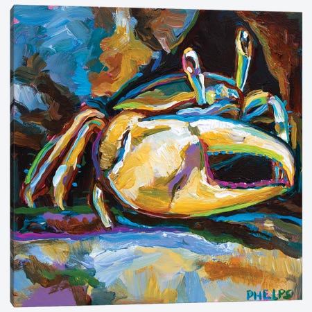 Fiddler Crab Canvas Print #RPH195} by Robert Phelps Art Print