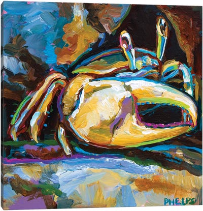 Fiddler Crab Canvas Art Print - Crab Art