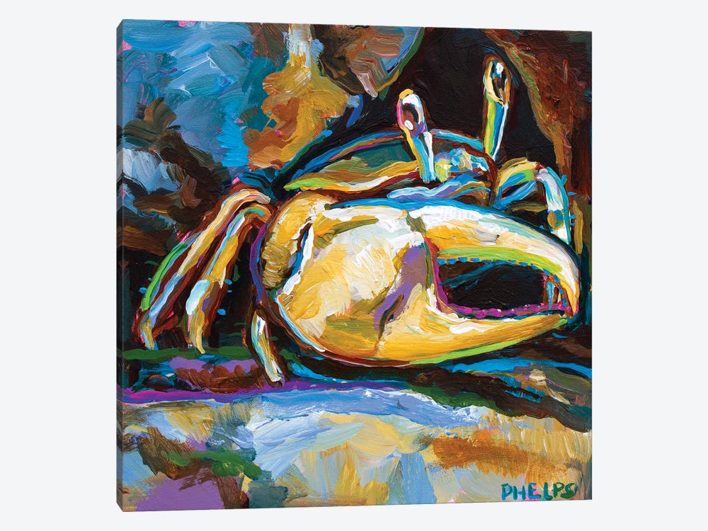 Fiddler Crab by Robert Phelps 1-piece Canvas Art Print