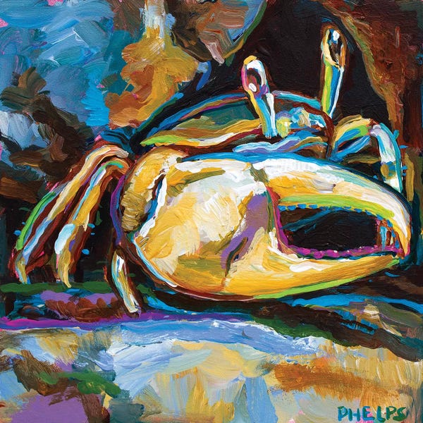 Crabs: Fiddler Crab by Robert Phelps