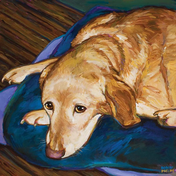 Labrador Retrievers: Napping Yellow Lab by Robert Phelps