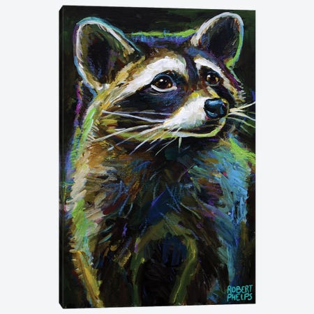 Raccoon Canvas Print #RPH198} by Robert Phelps Canvas Art