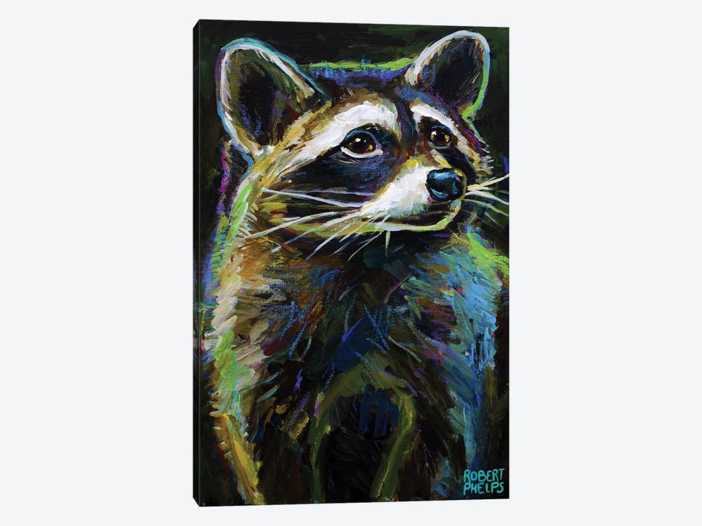 Raccoon by Robert Phelps 1-piece Canvas Wall Art