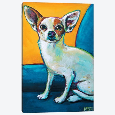Chihuahua In Chair Canvas Print #RPH19} by Robert Phelps Canvas Art Print