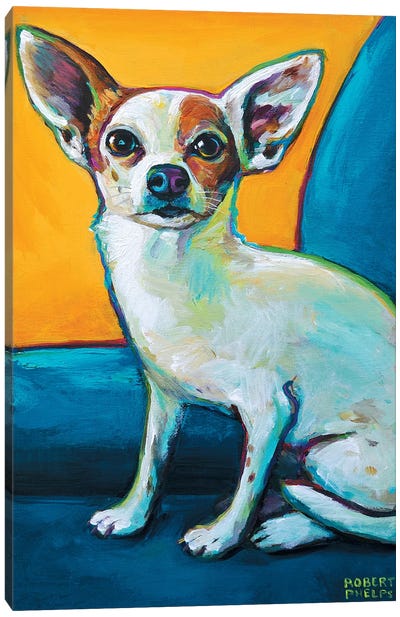 Chihuahua In Chair Canvas Art Print - Robert Phelps