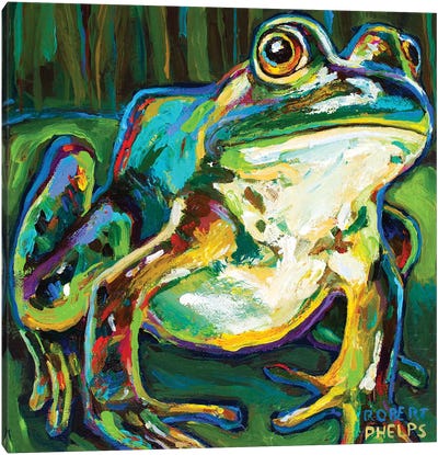 Pond Frog Canvas Art Print - Frog Art