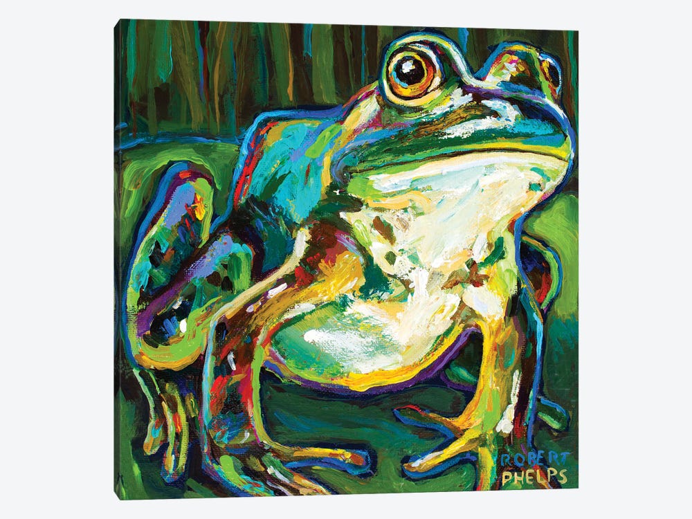 Pond Frog by Robert Phelps 1-piece Art Print