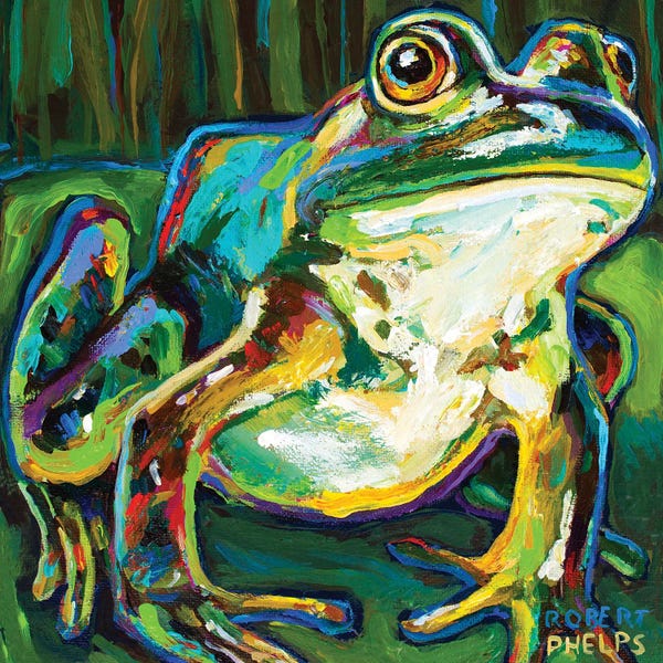 Robert Phelps: Pond Frog by Robert Phelps