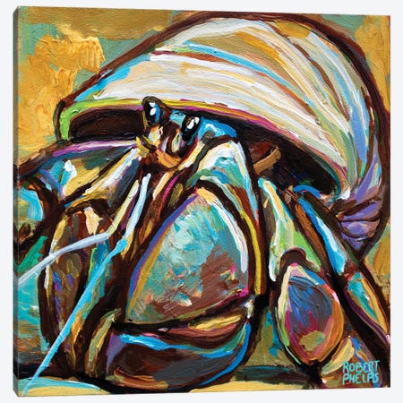 Hermit Crab Canvas Print #RPH201} by Robert Phelps Canvas Art