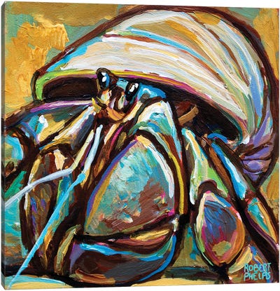 Hermit Crab Canvas Art Print - Robert Phelps