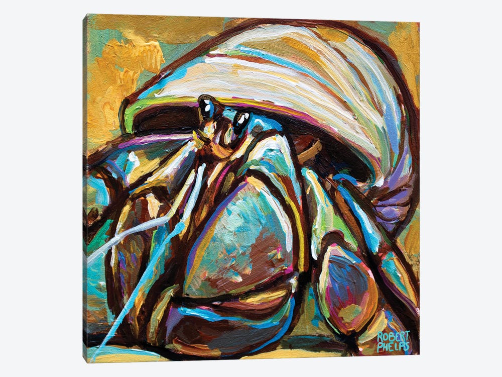Hermit Crab by Robert Phelps 1-piece Canvas Art