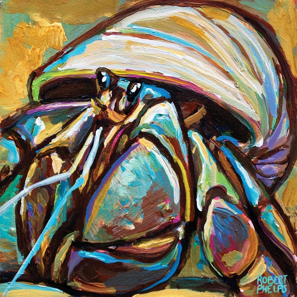 Crabs: Hermit Crab by Robert Phelps