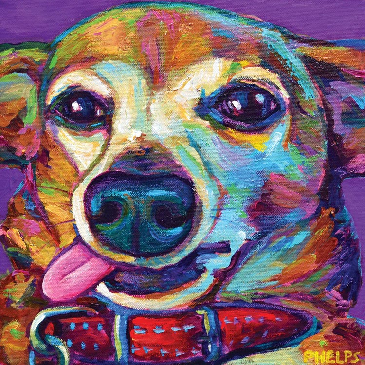 Chiweenie On Violet by Robert Phelps wall art
