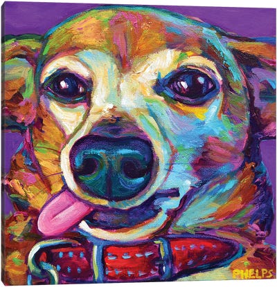 Chiweenie On Violet Canvas Art Print - Chihuahua Art