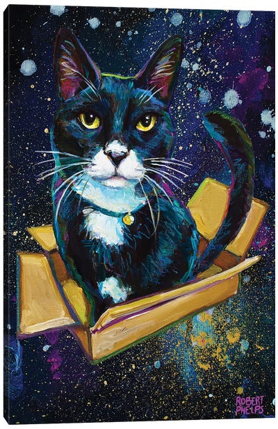 Galactic Tuxedo Kitty Canvas Art Print - Tuxedo Cat Art