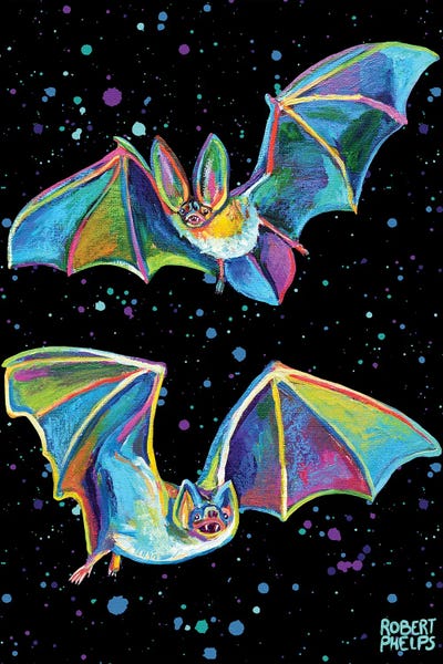 Robert Phelps: Party Bats by Robert Phelps