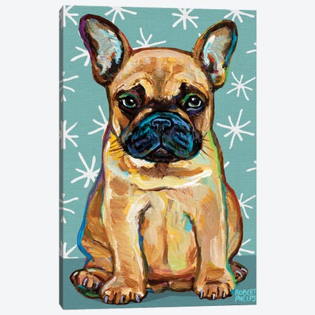 Frenchie Pup and Stars Canvas Print #RPH206} by Robert Phelps Canvas Print